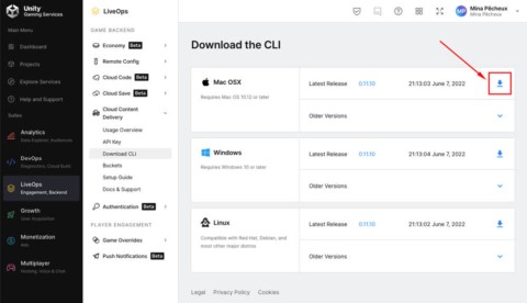 How to deploy game updates with Unity Cloud Content Delivery and ...