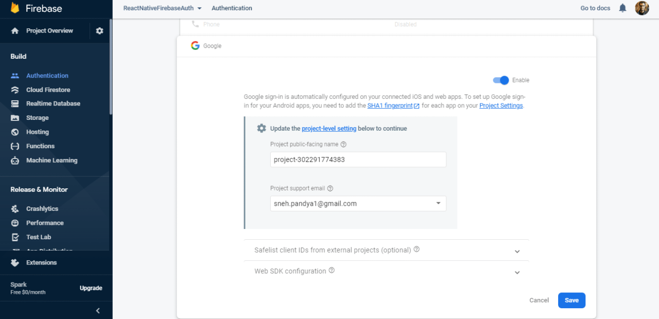 Authentication page: enter the project name and support email