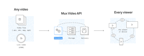 How to build a video streaming app with Flutter and Mux | Codemagic Blog