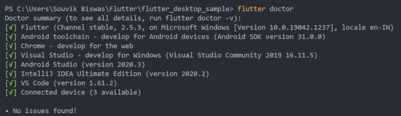 Flutter doctor – Windows