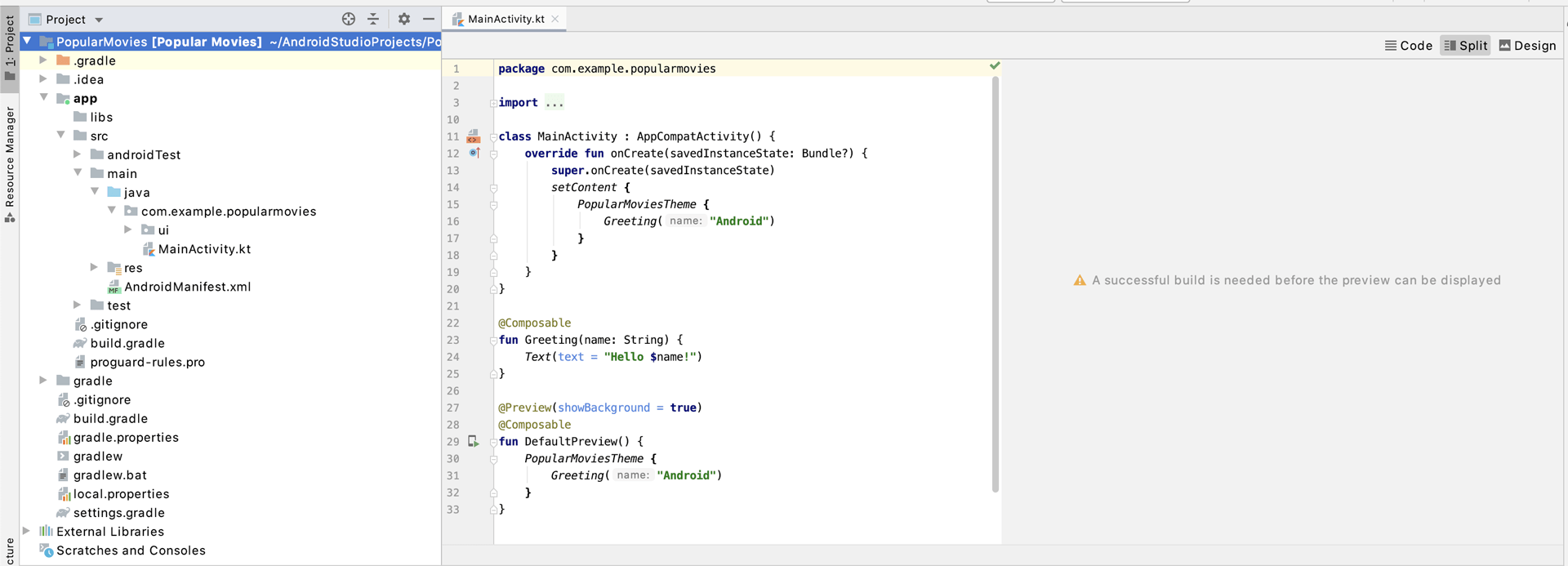 Main project window