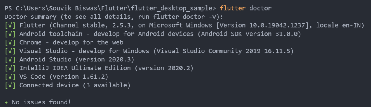 Flutter doctor – Windows